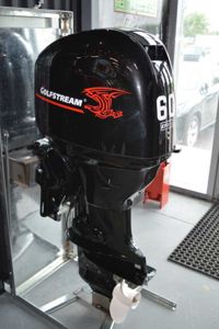 купить 4х-тактный лодочный мотор GOLFSTREAM F60FEL-T EFI в Москве - фото 