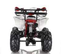 купить Квадроцикл MOTAX ATV Raptor Super LUX 125 cc в Москве - фото 