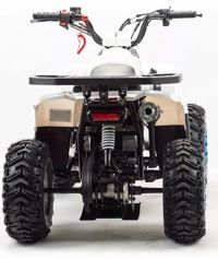 купить Квадроцикл MZ Eagle 110 в Москве - фото 