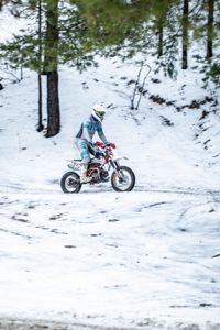 купить Мотоцикл питбайк SHARMAX PowerMax 125 (2024) в Москве - фото 