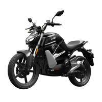 купить Электромотоцикл SUPER SOCO TS Street Hunter Pro в Москве - фото 