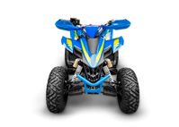 купить Квадроцикл RACER Typhoon 250 в Москве - фото 