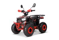 купить Квадроцикл YACOTA Sirius 110 в Москве - фото 