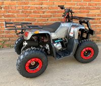 купить Квадроцикл MOWGLI Sharp в Москве - фото 