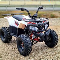 купить Квадроцикл YACOTA Fusion 125 в Москве - фото 