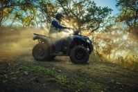 купить Квадроцикл KAWASAKI Brute Force 450 4x4 (2025) в Москве - фото 