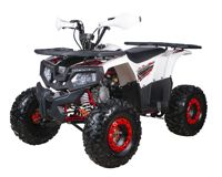 купить Квадроцикл YACOTA Fusion 125 PRO в Москве - фото 