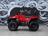 купить Квадроцикл SHARMAX 420 Force в Москве - фото 