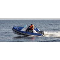 купить Лодка РИБ AQUA BOAT 600 в Москве - фото 