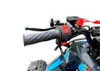 купить Квадроцикл MOTORHEAD Devil в Москве - фото 