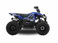 купить Квадроцикл SHARMAX Cross 200 (2024) в Москве - фото 