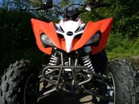 купить Квадроцикл ABM Scorpion 150 в Москве - фото 