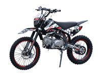 купить Мотоцикл REGULMOTO Seven Medalist 19/16 PITBIKE в Москве - фото 