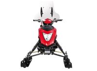 купить Снегоход REGULMOTO Raccoon разборный в Москве - фото 