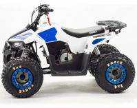 купить Квадроцикл MZ Eagle 110 в Москве - фото 