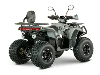 купить Квадроцикл YACOTA Dragon 125 LUX-LD в Москве - фото 