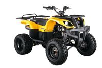 купить Квадроцикл ABM Apache 150 Basic в Москве - фото 