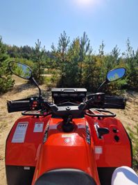 купить Квадроцикл HISUN Tactic 750 Normal (ПСМ) в Москве - фото 