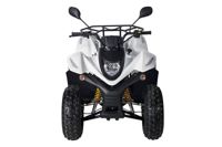 купить Квадроцикл BALTMOTORS Jam 100 в Москве - фото 