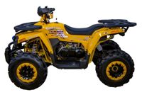 купить Квадроцикл AVANTIS Hunter 200 Big Lux (Баланс. вал) в Москве - фото 