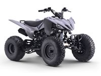 купить Квадроцикл SHARMAX Raizer Race Cup 250 в Москве - фото 