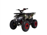 купить Квадроцикл WELS 125 thunder E2 в Москве - фото 