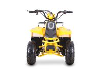 купить Квадроцикл SHARMAX 130 Cross в Москве - фото 