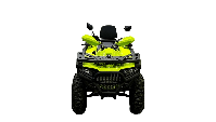 купить Квадроцикл BISON 330L в Москве - фото 