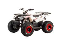 купить Квадроцикл MOTOLAND 125 Wild в Москве - фото 