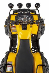 купить Квадроцикл RAPTOR Max Pro 250 (жёлтый/чёрный) (2024) в Москве - фото 