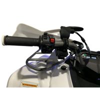 купить Квадроцикл MOTOLAND Shark 200 в Москве - фото 