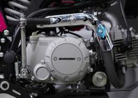 купить Мотоцикл питбайк SHARMAX Sport 190 Miami в Москве - фото 