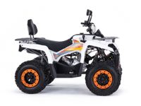 купить Квадроцикл MOTAX ATV Grizlik 200 Ultra в Москве - фото 