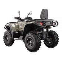 купить Квадроцикл HISUN Tactic 750 Normal (ПСМ) в Москве - фото 
