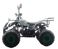 купить Квадроцикл MOTAX ATV Grizlik-8 125 в Москве - фото 