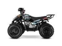 купить Квадроцикл SHARMAX Cross 180 RX в Москве - фото 