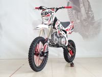 купить Мотоцикл KAYO Basic YX140 KRZ PITBIKE в Москве - фото 