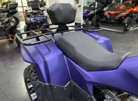 купить Квадроцикл IRIDE Wolf 300 в Москве - фото 