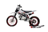 купить Мотоцикл REGULMOTO Seven Medalist 19/16 PITBIKE в Москве - фото 