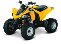 купить Квадроцикл BRP DS 250 в Москве - фото 