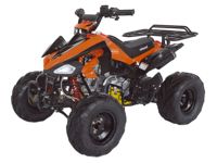 купить Квадроцикл ABM Scorpion 125A в Москве - фото 