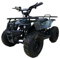 купить Электроквадроцикл MOTAX Grizlik X16 New E1000 Big Wheel в Москве - фото 