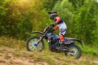 купить Мотоцикл кроссовый эндуро SHARMAX PowerMax 280 (2024) в Москве - фото 