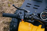 купить Квадроцикл TIGER Max Grade 300 в Москве - фото 