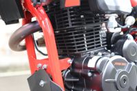 купить Мотоцикл кроссовый эндуро PROCIDA 2020 PR300 в Москве - фото 