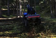 купить Квадроцикл LONCIN Xwolf 1000 (ПСМ) в Москве - фото 