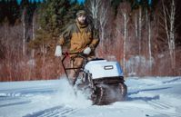 купить Мотобуксировщик TINGER Dog 13.5 л.с. в Москве - фото 