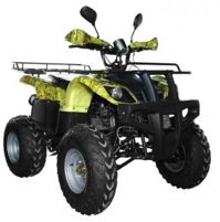 купить Квадроцикл AVANTIS Hunter 200 Lite в Москве - фото 