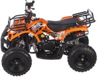 купить Квадроцикл MOTAX ATV Mini Grizlik X-16 Big Wheel (м/с) в Москве - фото 