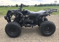 купить Квадроцикл HAMMER Hunter 300 в Москве - фото 